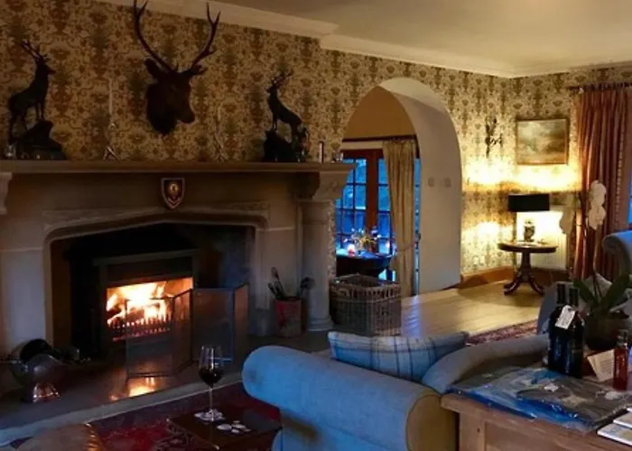 Highland Bear Lodge & Woodland Bear Huts